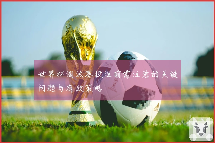 世界杯淘汰赛投注前需注意的关键问题与有效策略