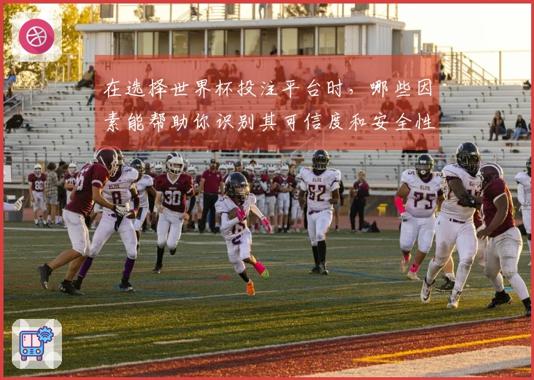 在选择世界杯投注平台时，哪些因素能帮助你识别其可信度和安全性？