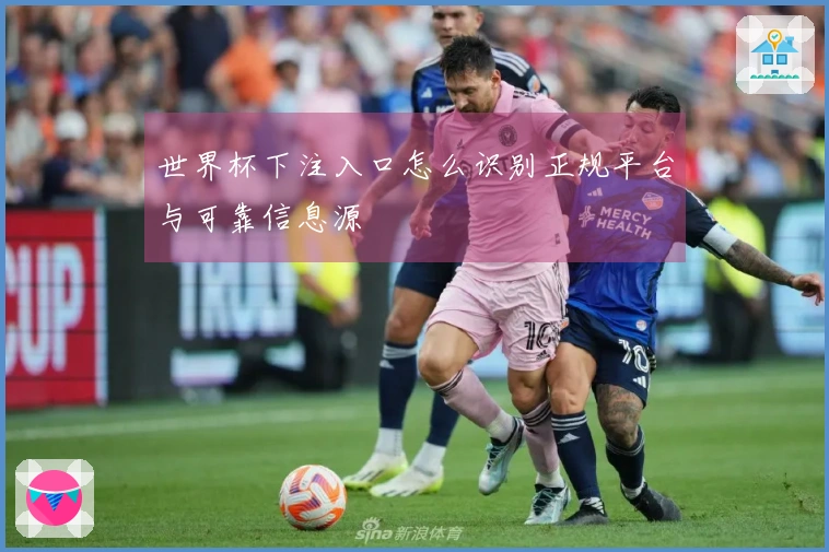 世界杯下注入口怎么识别正规平台与可靠信息源