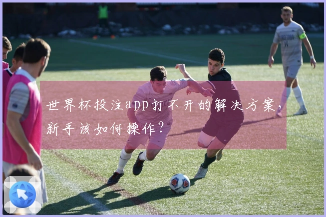 世界杯投注app打不开的解决方案，新手该如何操作？