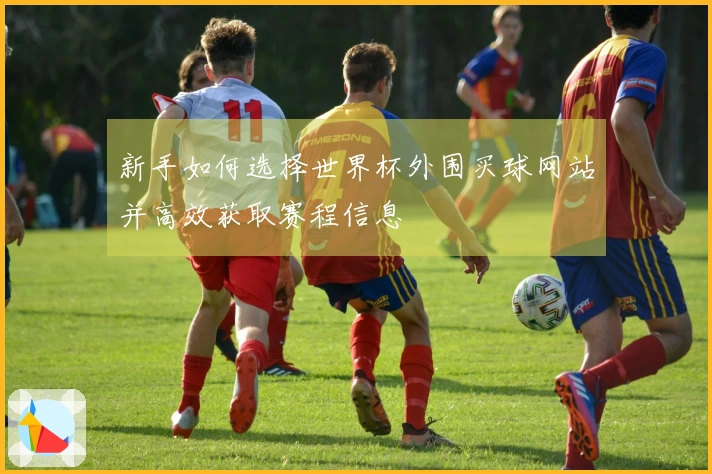 新手如何选择世界杯外围买球网站并高效获取赛程信息