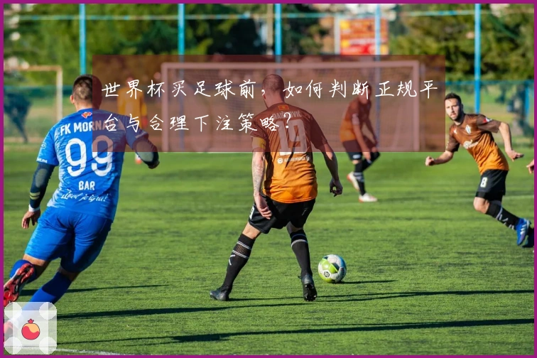 世界杯买足球前，如何判断正规平台与合理下注策略？