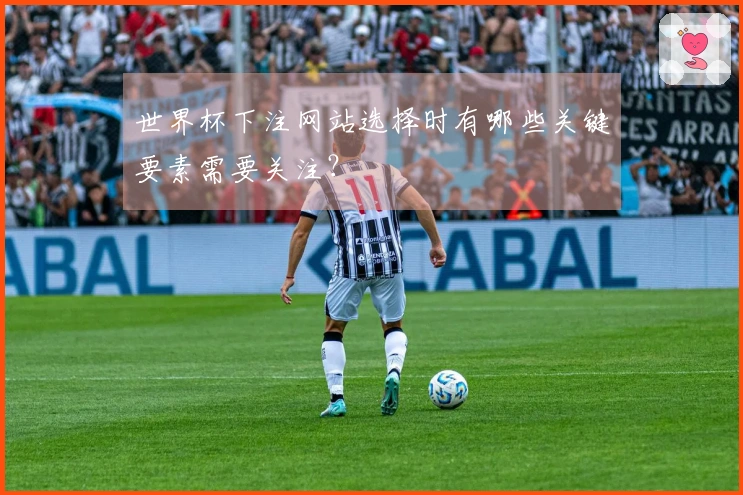 世界杯下注网站选择时有哪些关键要素需要关注？
