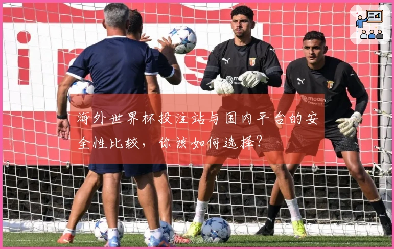 海外世界杯投注站与国内平台的安全性比较，你该如何选择？