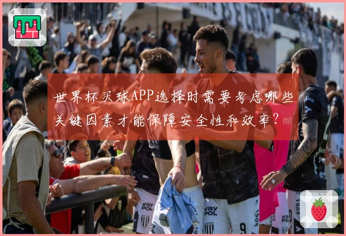 世界杯买球APP选择时需要考虑哪些关键因素才能保障安全性和效率？