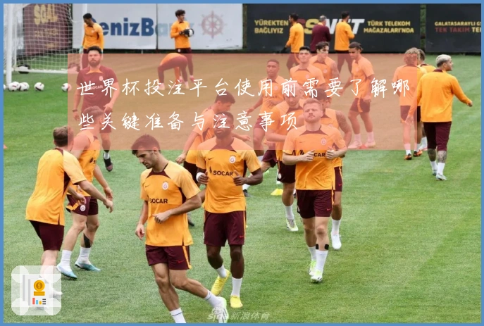世界杯投注平台使用前需要了解哪些关键准备与注意事项