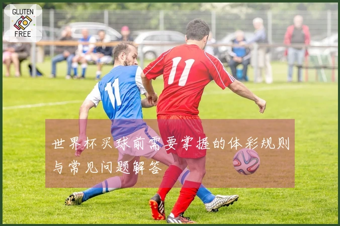 世界杯买球前需要掌握的体彩规则与常见问题解答