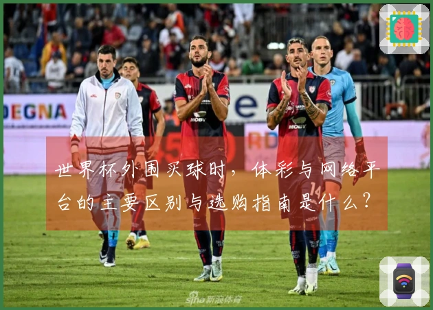 世界杯外围买球时，体彩与网络平台的主要区别与选购指南是什么？