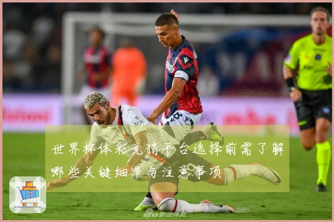 世界杯体彩竞猜平台选择前需了解哪些关键细节与注意事项