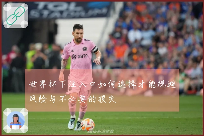 世界杯下注入口如何选择才能规避风险与不必要的损失