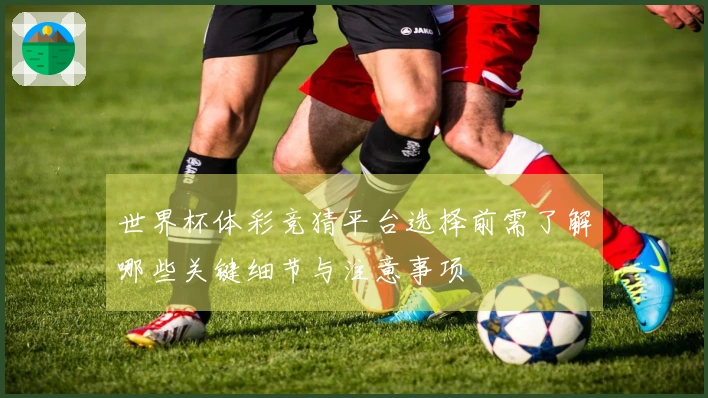 世界杯体彩竞猜平台选择前需了解哪些关键细节与注意事项