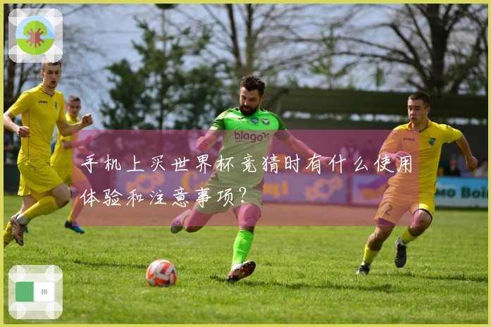 手机上买世界杯竞猜时有什么使用体验和注意事项？