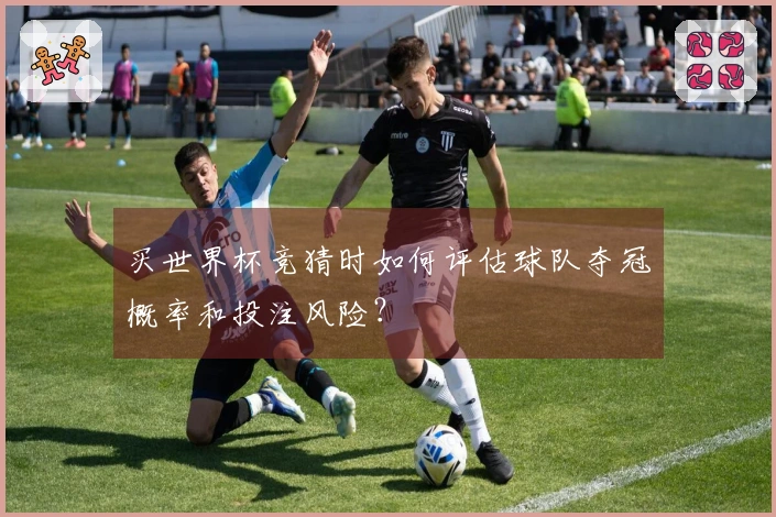 买世界杯竞猜时如何评估球队夺冠概率和投注风险？