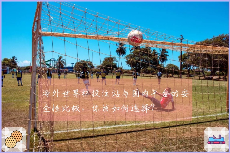 海外世界杯投注站与国内平台的安全性比较，你该如何选择？