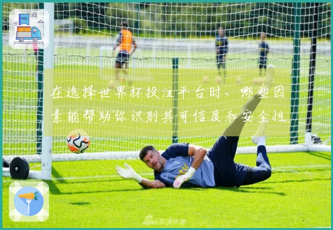 在选择世界杯投注平台时，哪些因素能帮助你识别其可信度和安全性？