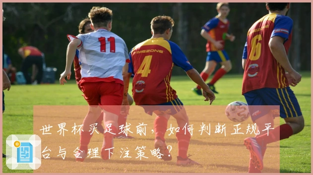 世界杯买足球前，如何判断正规平台与合理下注策略？