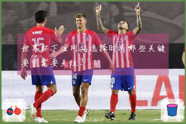 世界杯下注网站选择时有哪些关键要素需要关注？