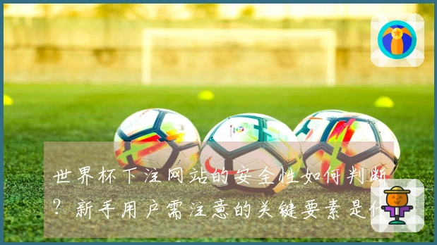 世界杯下注网站的安全性如何判断？新手用户需注意的关键要素是什么