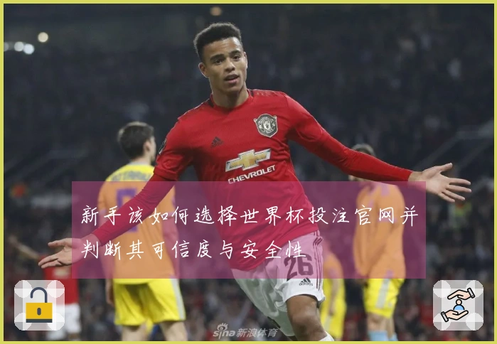 新手该如何选择世界杯投注官网并判断其可信度与安全性