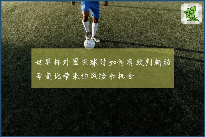 世界杯外围买球时如何有效判断赔率变化带来的风险和机会