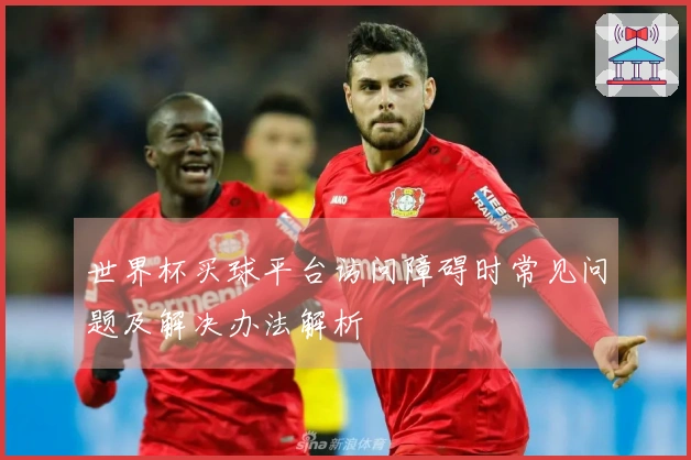 世界杯买球平台访问障碍时常见问题及解决办法解析