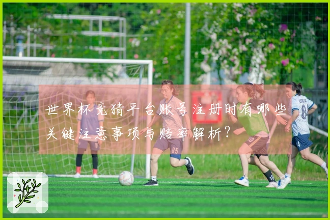 世界杯竞猜平台账号注册时有哪些关键注意事项与赔率解析？