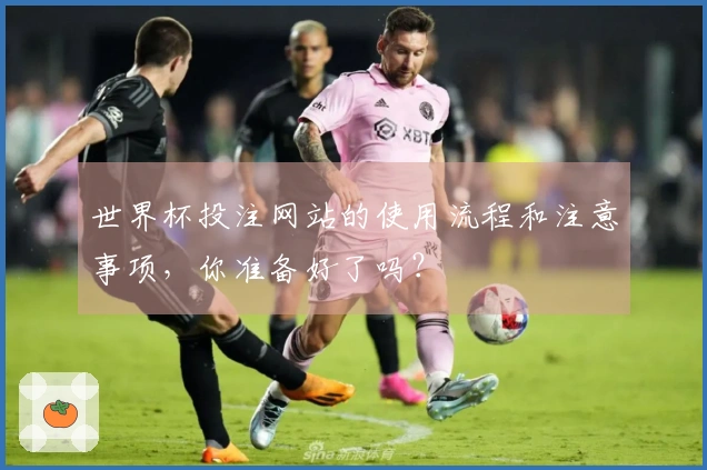 世界杯投注网站的使用流程和注意事项，你准备好了吗？