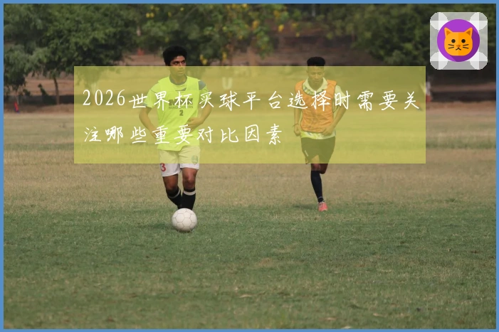 2026世界杯买球平台选择时需要关注哪些重要对比因素