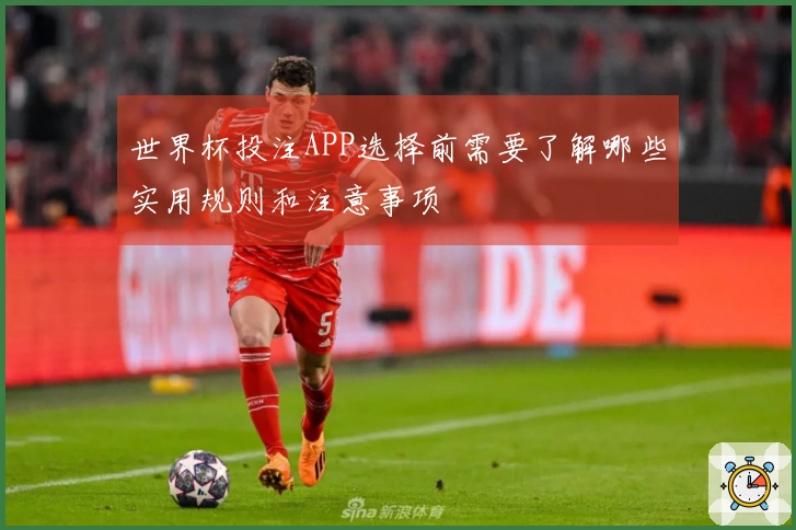 世界杯投注APP选择前需要了解哪些实用规则和注意事项