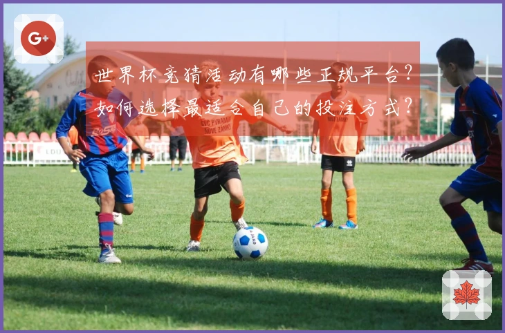 世界杯竞猜活动有哪些正规平台？如何选择最适合自己的投注方式？