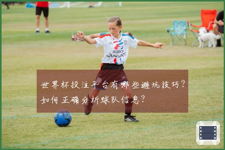 世界杯投注平台有哪些避坑技巧？如何正确分析球队信息？
