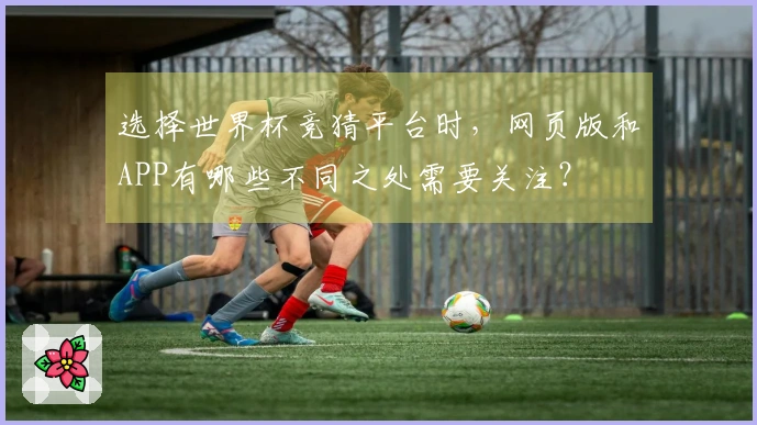 选择世界杯竞猜平台时，网页版和APP有哪些不同之处需要关注？
